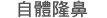 自體隆鼻
