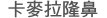 卡麥拉隆鼻